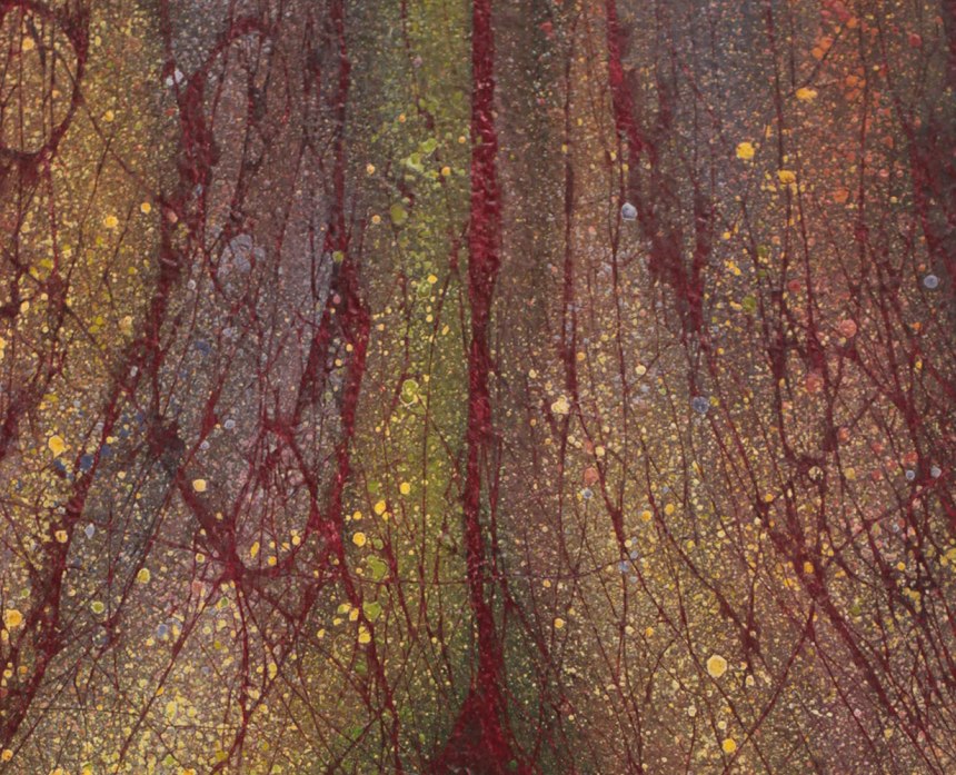 JUNIPERUS BERMUDIANA