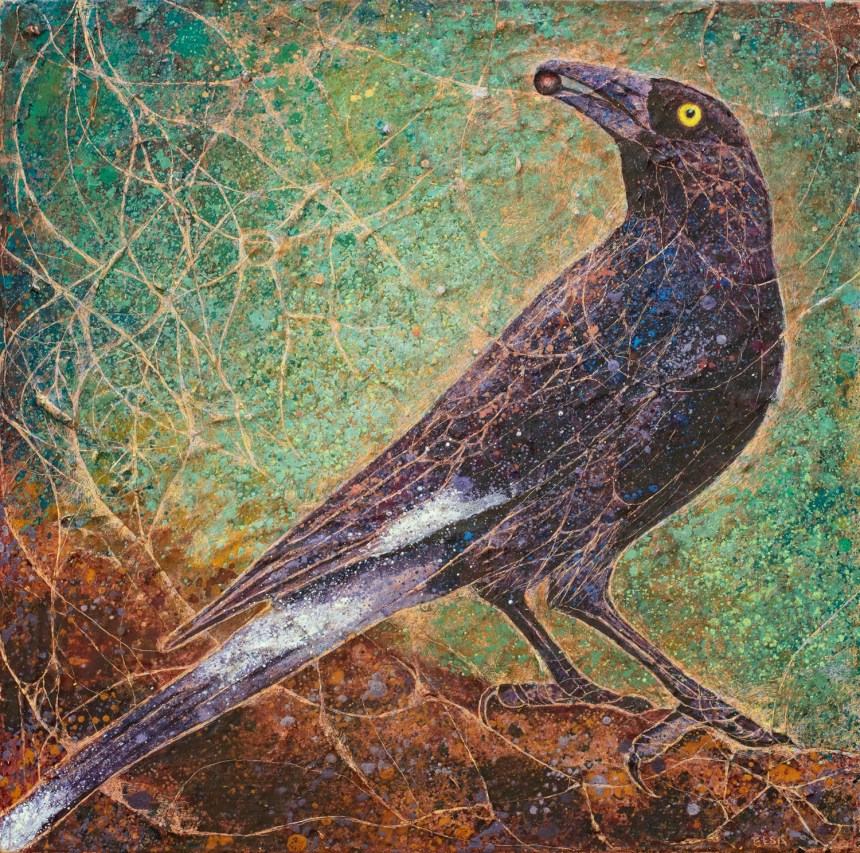 The Currawong